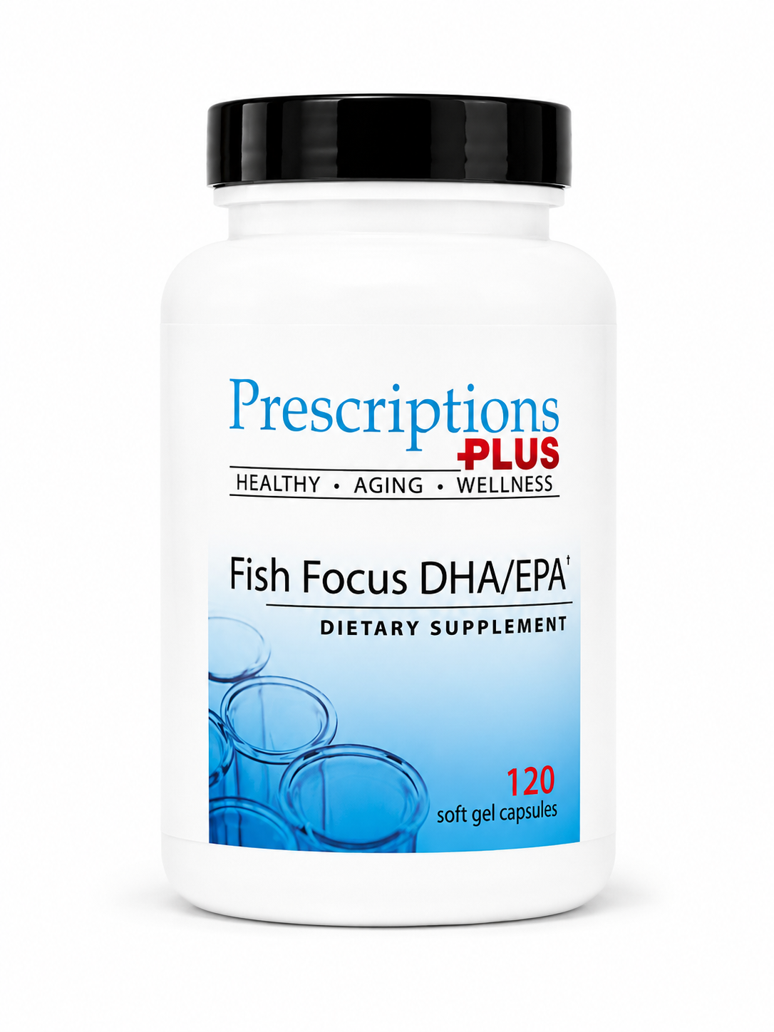 Fish Focus